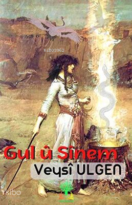 Gul ü Sinem - Siyer Yayınları - Selamkitap.com'da