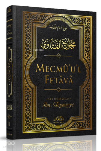 Mecmü'u'l-Fetava (17. cilt)