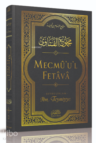 Mecmû'u'l-Fetâvâ (6. cilt)