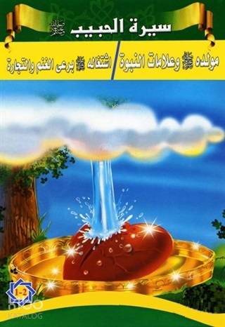 Siretü'l-Habib - Peygamberimizin Hayatı (5 Kitap Takım) - Hikmet Evi Y